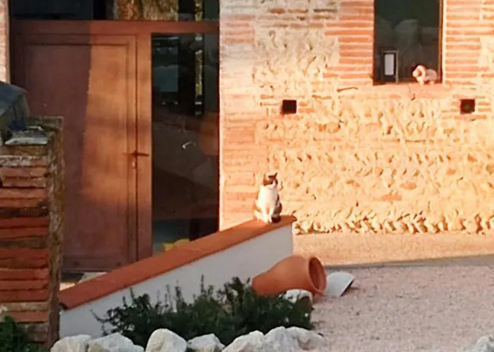 Restored Near Toulouse With Pool Casa de Férias Mauvezin-Saves